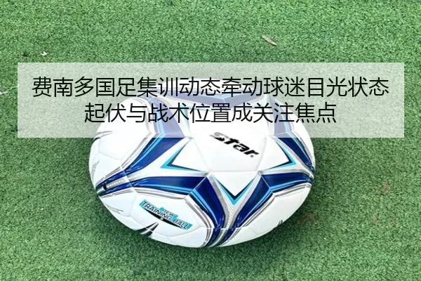费南多国足集训动态牵动球迷目光状态起伏与战术位置成关注焦点（kaiyun）